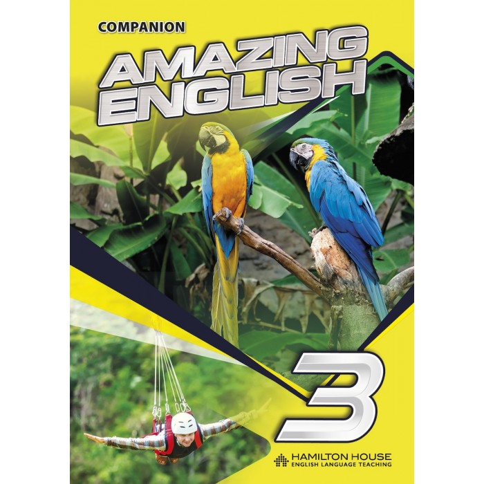 AMAZING ENGLISH 3 (GRAMMAR INTERNATIONAL)