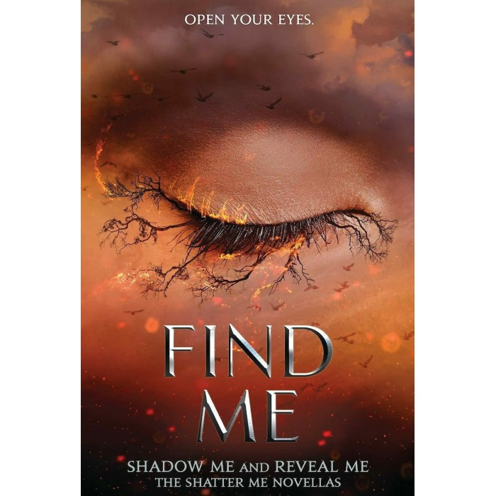 SHATTER ME 4.5 - 5.5: FIND ME